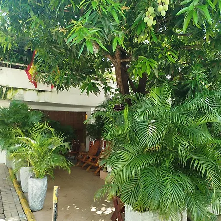 Casa Corozo Cartagena Hotel Boutique
